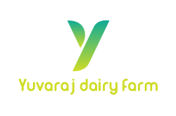 Yuvaraj dairy farm 