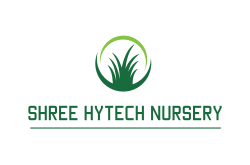 logo Shree Hytech Nursery