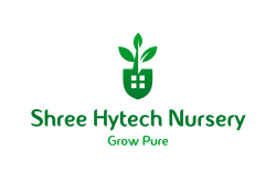 Shree Hytech Nursery