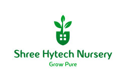 logo Shree Hytech Nursery