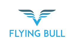 logo FLYING BULL 