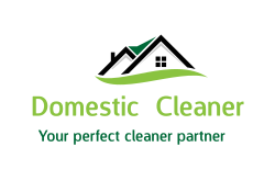 Domestic  Cleaner