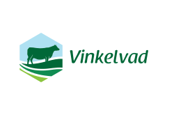 Vinkelvad