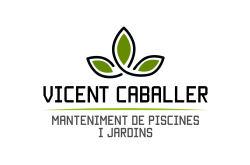 VICENT CABALLER