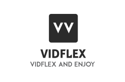 logo VIDFLEX