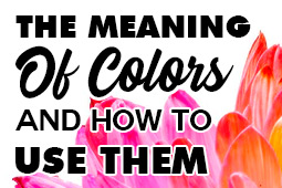 Znaczenie kolorów i jak je wykorzystać w projektowaniu marki