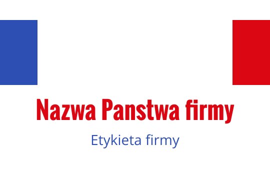 Odważny projekt logo z czerwonymi i niebieskimi prostokątnymi elementami oraz stylizowanym tekstem