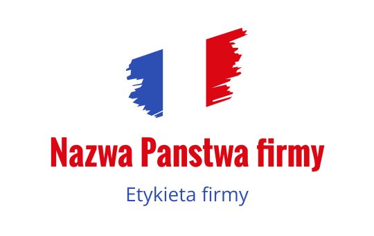 Odważny projekt logo z czerwonymi i niebieskimi pociągnięciami pędzla