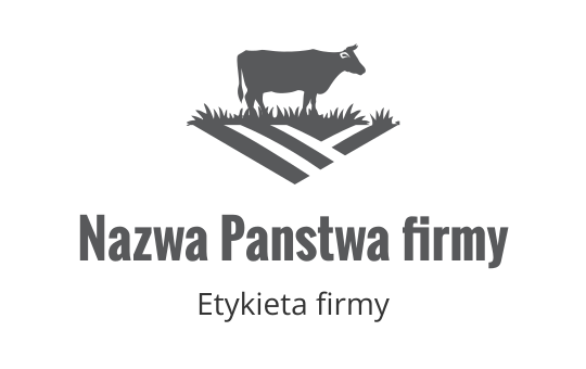 Logo design preview