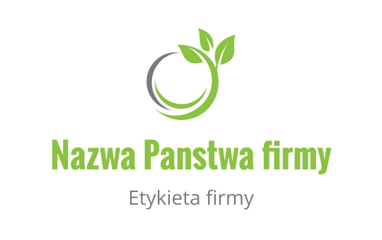 Logo design preview