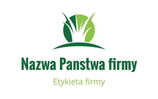 Logo design preview