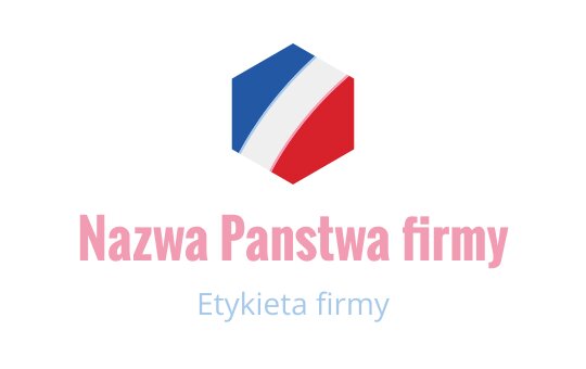 Sześciokątne logo z niebieskimi, białymi i czerwonymi elementami oraz nowoczesną typografią