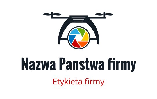 Logo drona z kolorowym obiektywem kamery i smukłą sylwetką