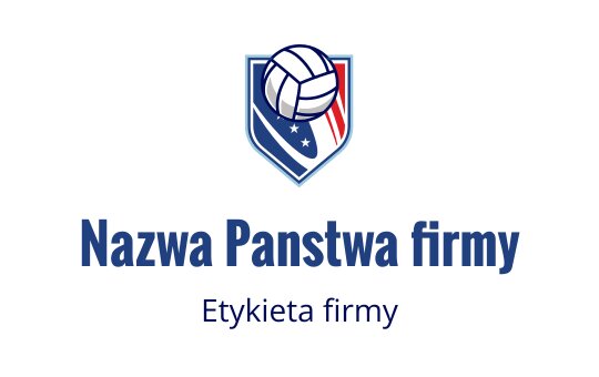 Siatkowka logo