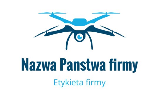 Nowoczesne niebieskie logo drona z eleganckimi liniami i dynamicznym wyglądem